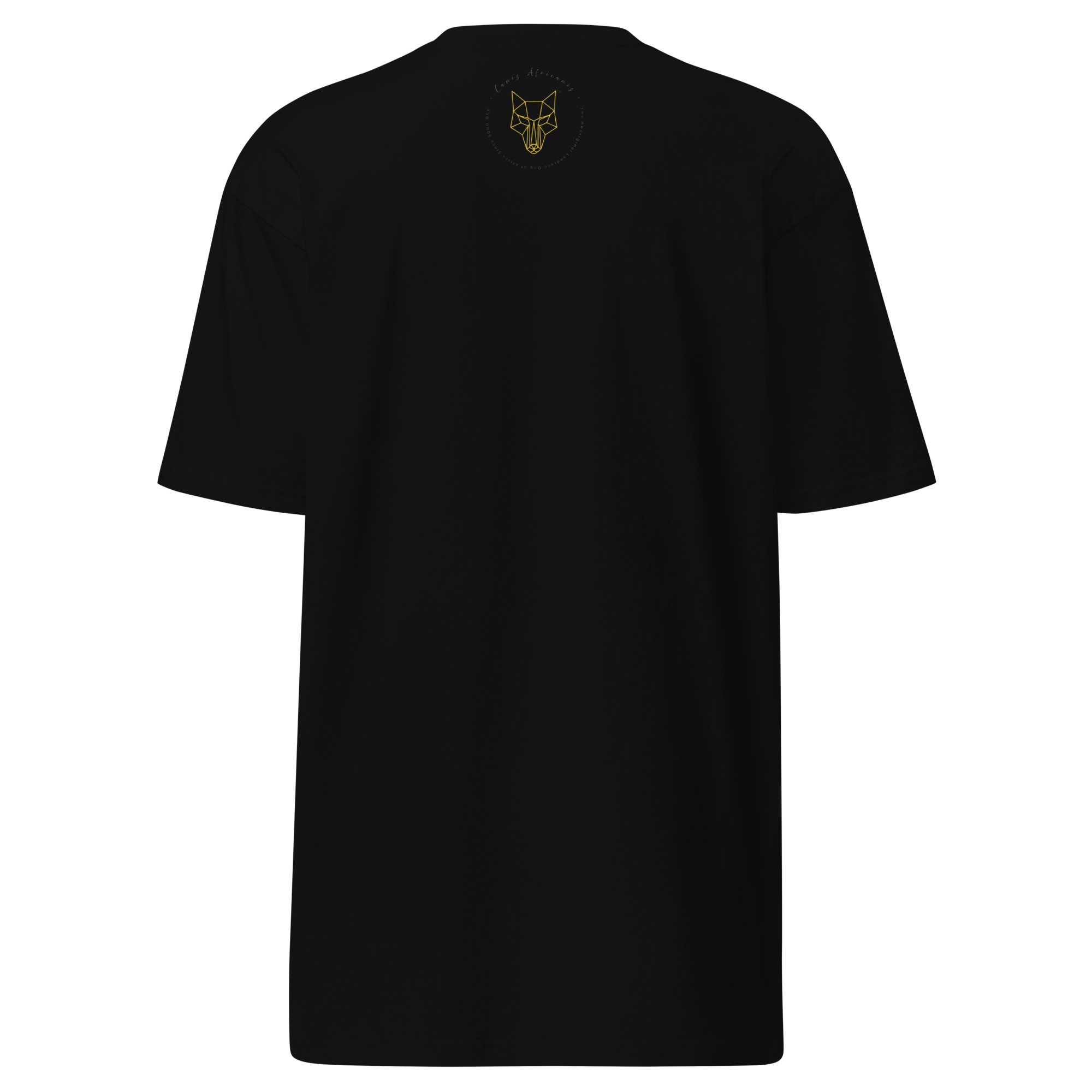 Africanis™ Gugulethu Men's Black Heritage T-Shirt Back