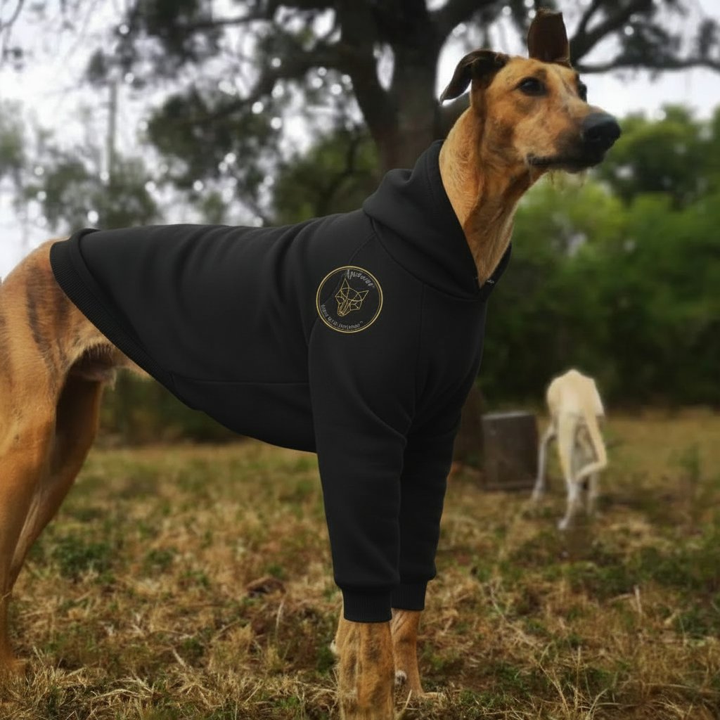 Africanis™ Kasane Dog Hoodie Black Africanis Badge