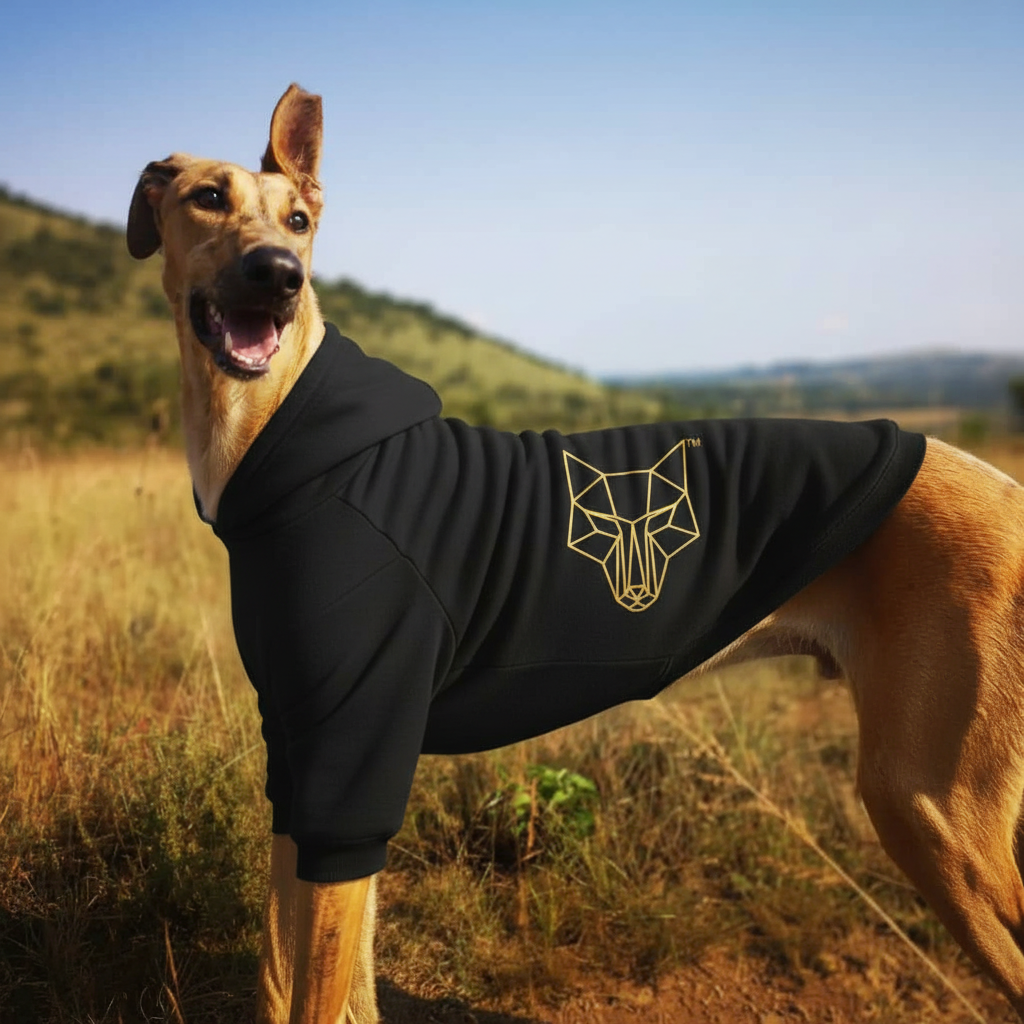 Africanis™ Lusikisiki Dog Hoodie Black