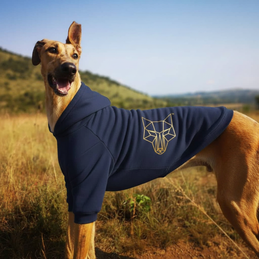 Africanis™ Lusikisiki Dog Hoodie Navy