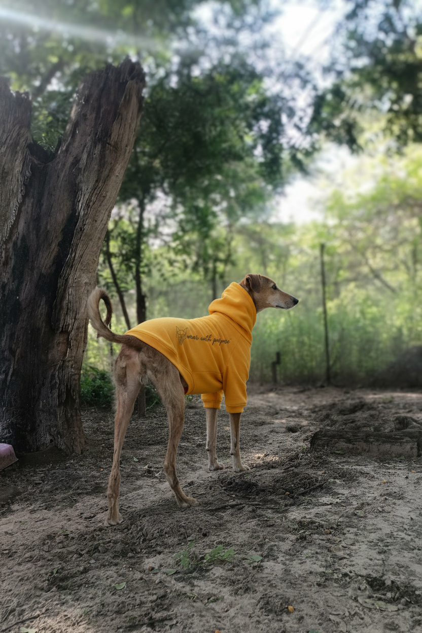 Africanis™ Maun Dog Hoodie Vintage Gold