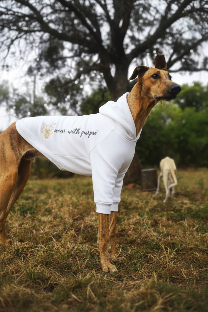 Africanis Maun Dog Hoodie White