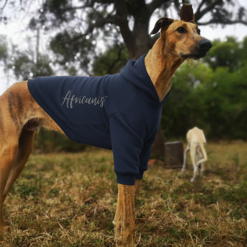 Africanis™ Ruacana Dog Hoodie Navy